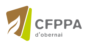 CFPC d’Obernai – plateforme de formation